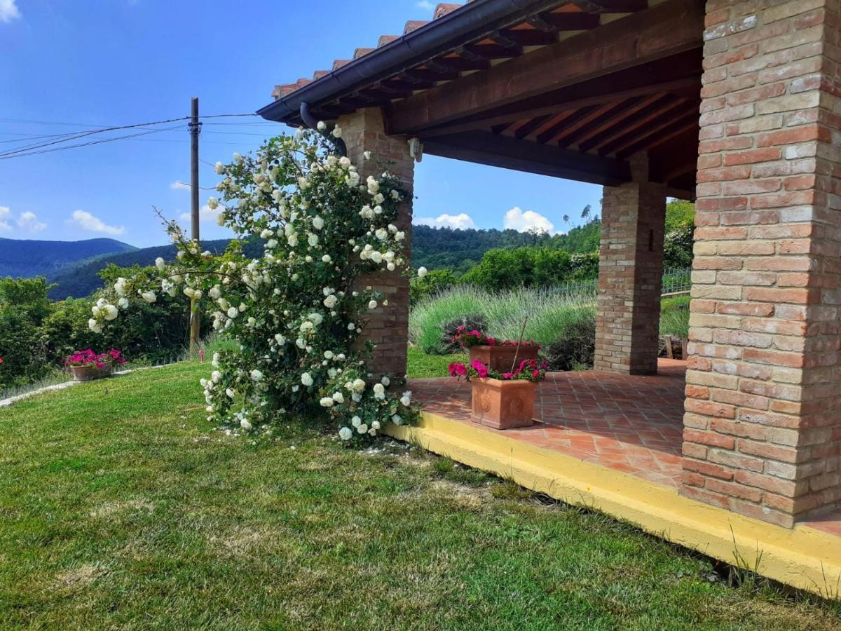 Vila Dimora Degli Angeli Chianni Exteriér fotografie
